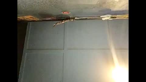 Warwick online show from 12.01.25