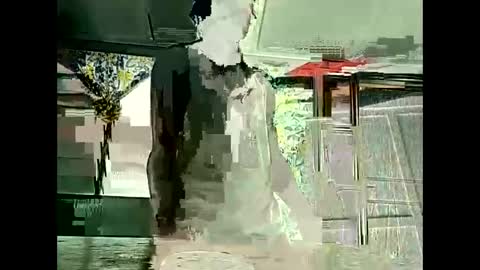 Warwick online show from 02.10.26