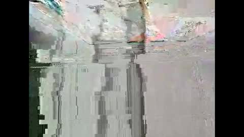 Warwick online show from 02.11.26