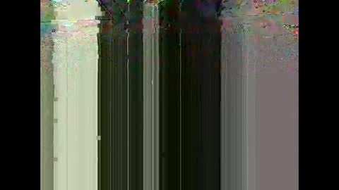 Warwick online show from 03.01.26