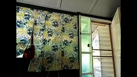 Warwick online show from 04.13.26