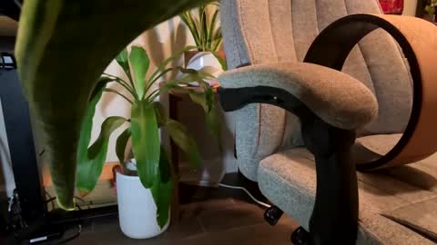 fuklicious online show from 01.19.25