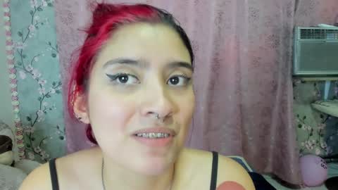 Snapshot of fun_with_flags11_aws chatting on 01.23.25 fun_with_flags11_aws online show from 01.23.25