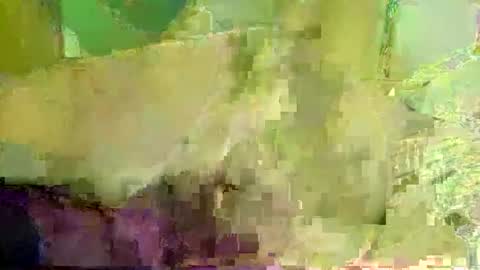 funandwilde online show from 10.08.25