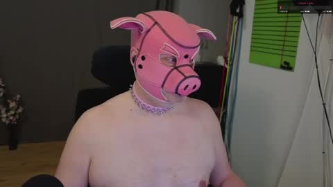 Piggy online show from 05.16.26