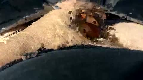 funtime741 online show from 12.10.24