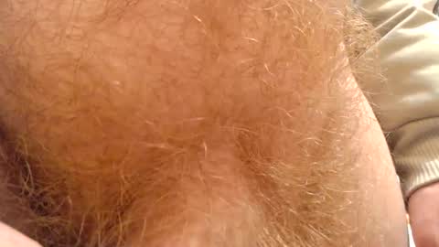 Snapshot of gae89tano chatting on 02.13.25 gae89tano online show from 02.13.25