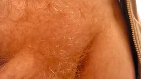 Snapshot of gae89tano chatting on 02.17.25 gae89tano online show from 02.17.25