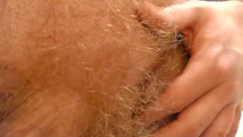 Snapshot of gae89tano chatting on 02.19.25 gae89tano online show from 02.19.25