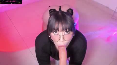 PROXIMO SHOW NOVIEMBRE 16   NEXT SHOW NOVEMBER  16    online show from 10.21.25