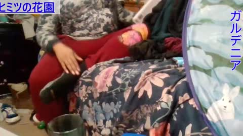 Snapshot of gardeniaspear chatting on 12.05.24 Gardenia online show from 12.05.24