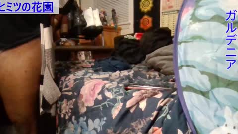 Snapshot of gardeniaspear chatting on 12.06.24 Gardenia online show from 12.06.24