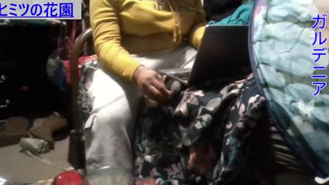 Snapshot of gardeniaspear chatting on 12.09.24 Gardenia online show from 12.09.24