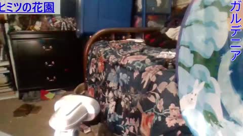 Snapshot of gardeniaspear chatting on 12.28.24 Gardenia online show from 12.28.24