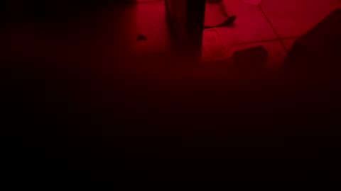 Snapshot of garrick358091 chatting on 11.03.25 garrick358091 online show from 11.03.25