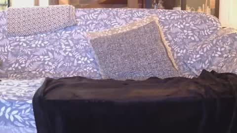 Snapshot of garybaker60 chatting on 01.01.25 Gaz online show from 01.01.25