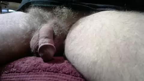 gemini_2 online show from 01.11.26