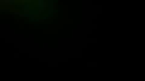 geminiguy1954 online show from 10.01.25