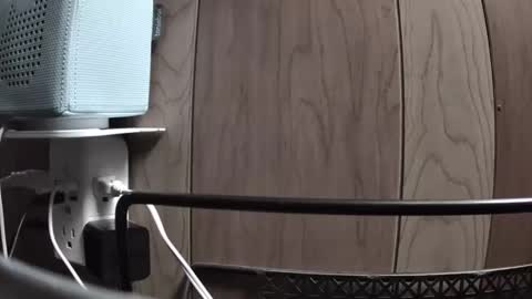 geo86 online show from 04.05.26