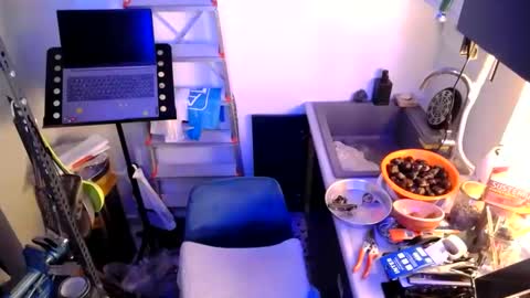 georgempt online show from 01.12.25