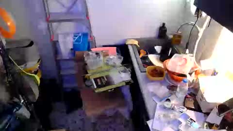 georgempt online show from 01.18.25