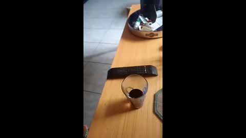 Snapshot of gergokertesz chatting on 12.24.24 gergokertesz online show from 12.24.24