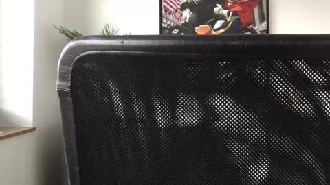 german3003 online show from 10.28.25