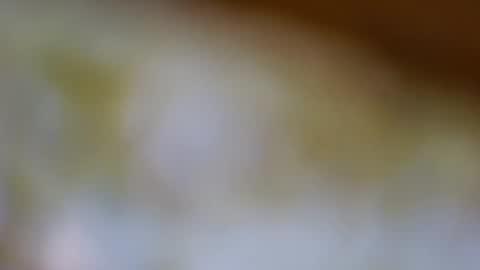 germanandy71 online show from 11.20.25