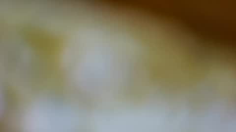 germanandy71 online show from 11.26.25