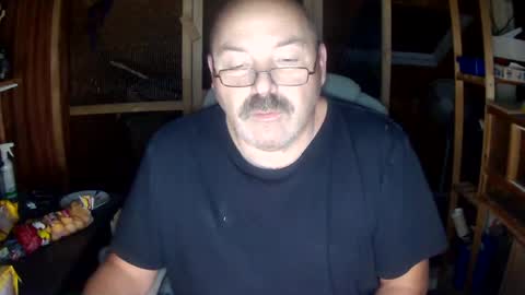 germany_50 online show from 12.15.24