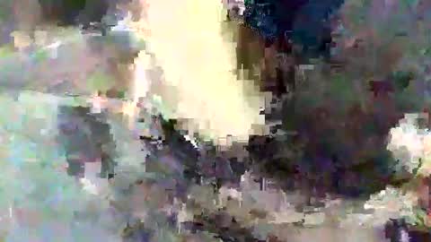 man in your room online show from 09.26.25