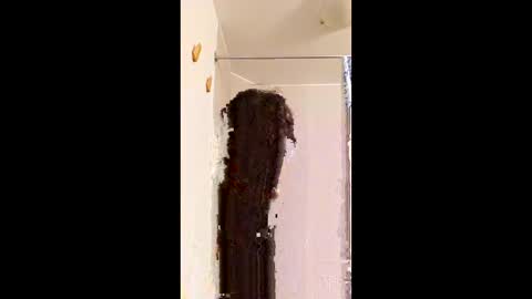 Snapshot of ggggu495826 chatting on 02.10.26 ggggu495826 online show from 02.10.26