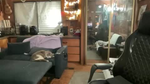 ghostboygbc online show from 03.17.26