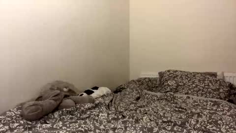 ghostpetal online show from 10.12.25