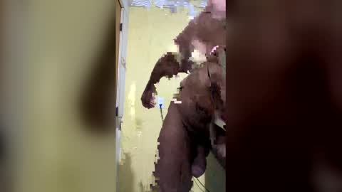 gifted online show from 04.06.26