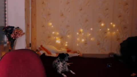 Emm online show from 12.20.24