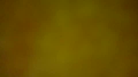 GiiaDior online show from 12.22.25