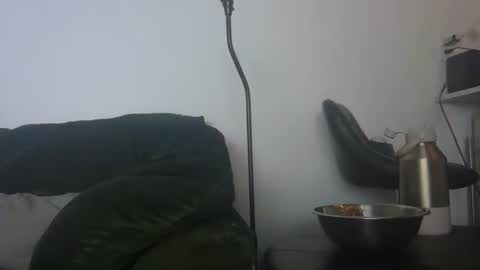 WildBoyVibes online show from 02.24.26