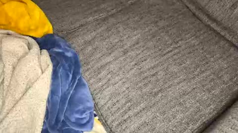 gingerrslut online show from 03.13.26