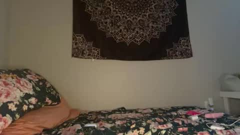 Snapshot of girlofurdreamsxxxxox chatting on 10.14.25 Camille online show from 10.14.25