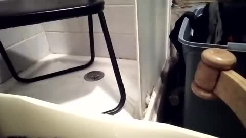 lovegirlscallme online show from 12.01.25