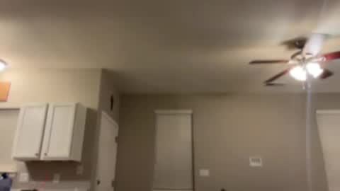 Snapshot of goddess_milaa chatting on 01.06.25 Princess Miila BBC Daddy online show from 01.06.25