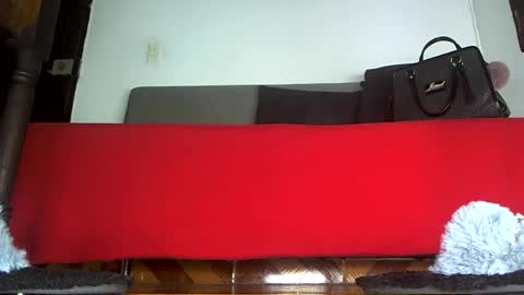 Snapshot of goddessfeet777 chatting on 02.26.26 Goddessfeet777 online show from 02.26.26