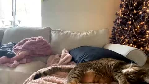 GoddessMayvn online show from 12.03.24