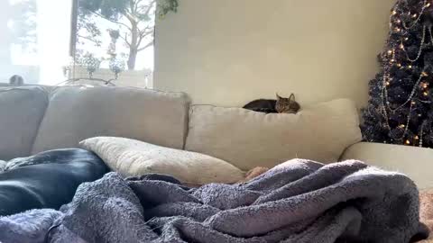 GoddessMayvn online show from 01.07.25