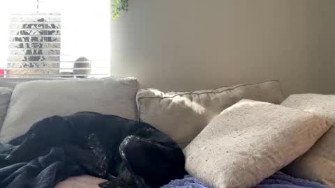 GoddessMayvn online show from 02.17.25