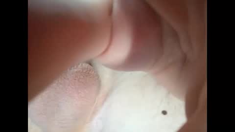 18teenhorny online show from 01.15.26