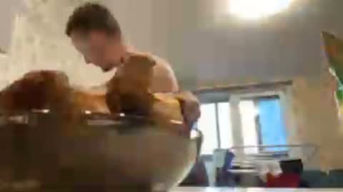 Snapshot of golden_boyyy21 chatting on 01.25.25 Golden boyyy21 online show from 01.25.25