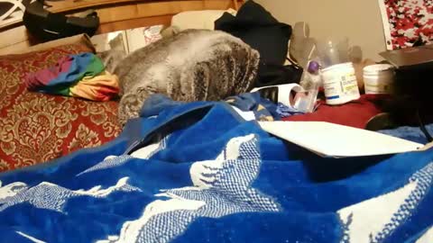 Juicy Booty online show from 12.28.24