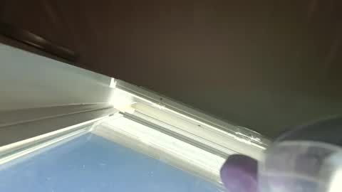 Snapshot of goosetrucker982440 chatting on 09.30.25 goosetrucker982440 online show from 09.30.25